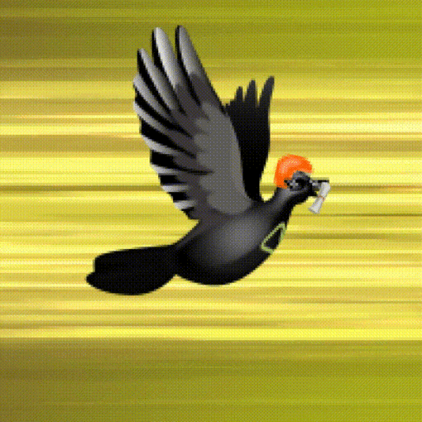Aurora Dove #7667