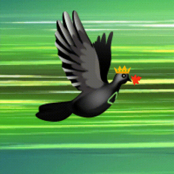 Aurora Dove #6568