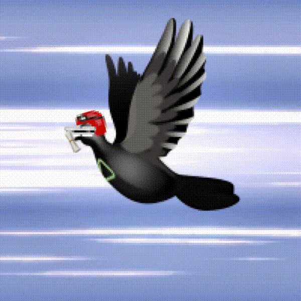 Aurora Dove #6786
