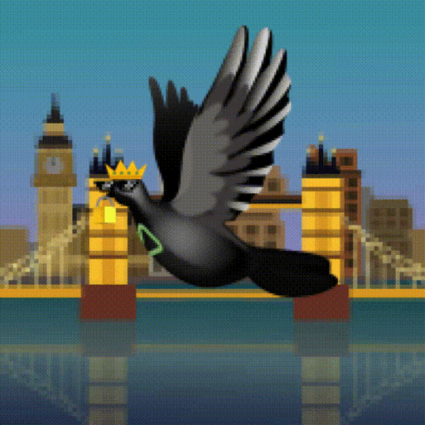Aurora Dove #6570