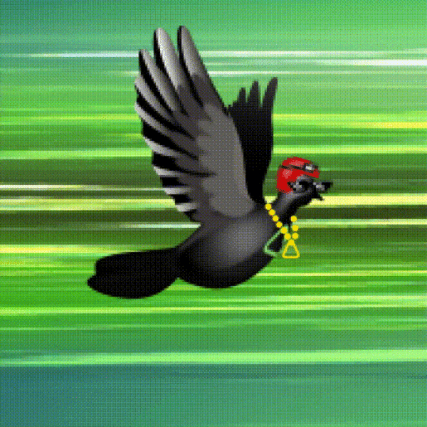 Aurora Dove #6753