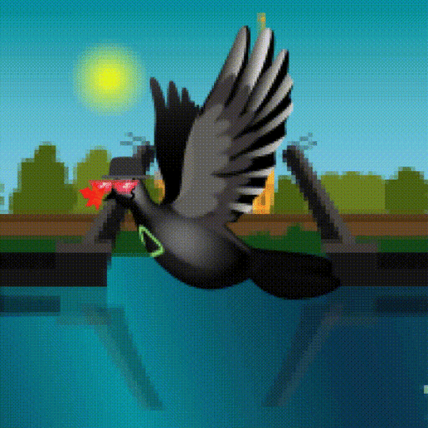 Aurora Dove #7841