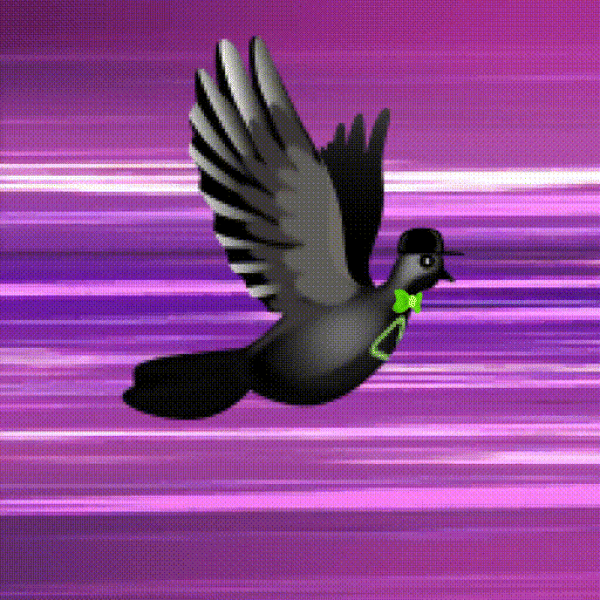 Aurora Dove #8019