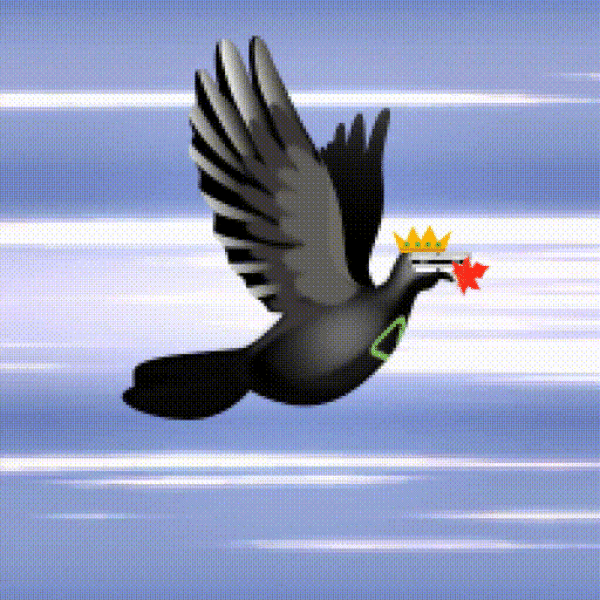 Aurora Dove #6966