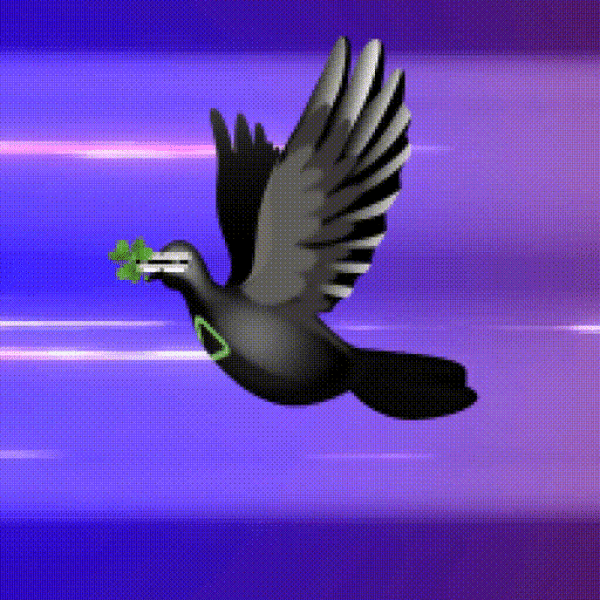 Aurora Dove #6361