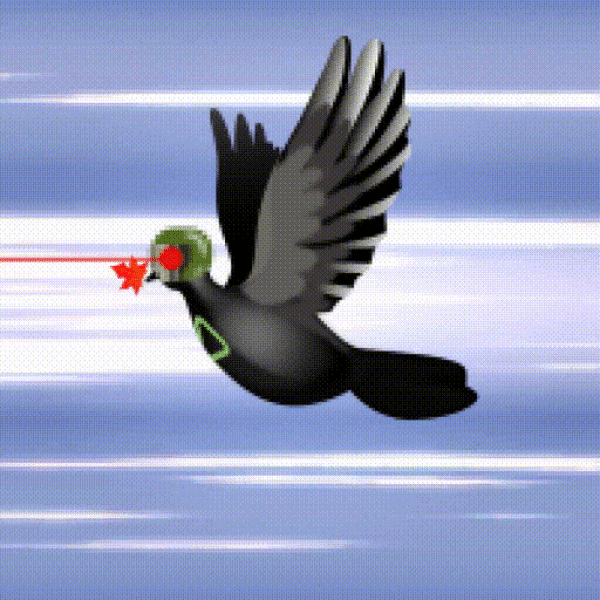 Aurora Dove #7065