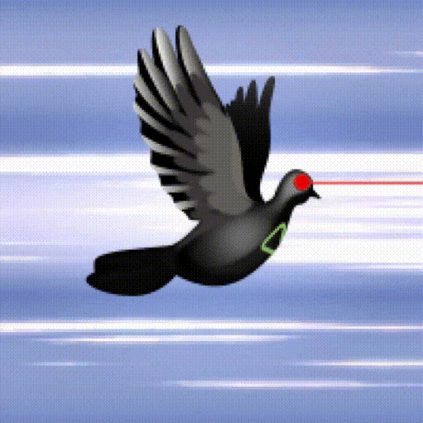 Aurora Dove #8231