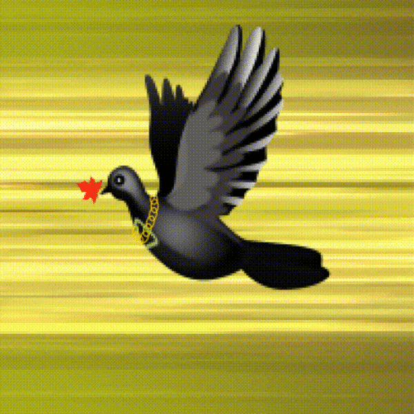 Aurora Dove #7909