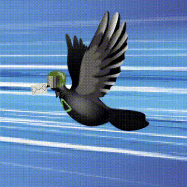 Aurora Dove #8121