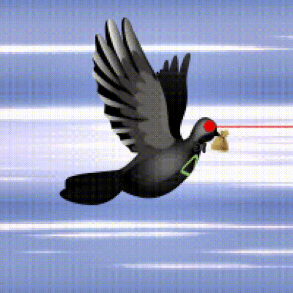 Aurora Dove #7654