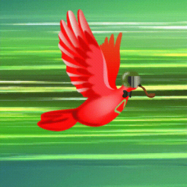 Aurora Dove #6542