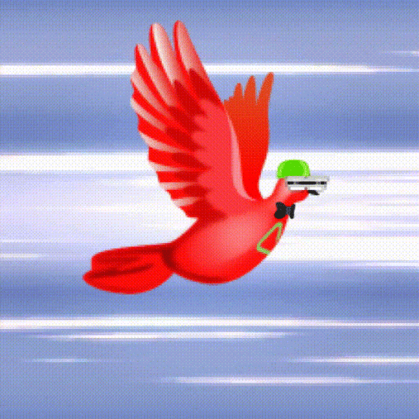 Aurora Dove #6781