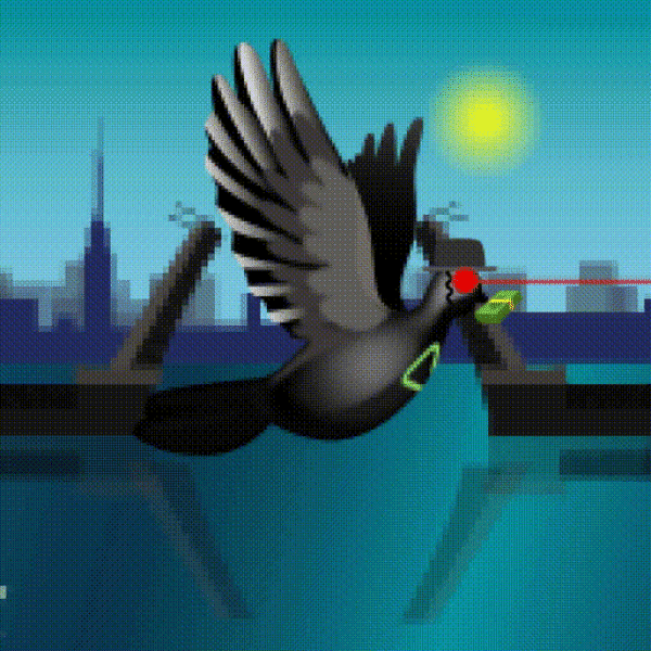Aurora Dove #8814