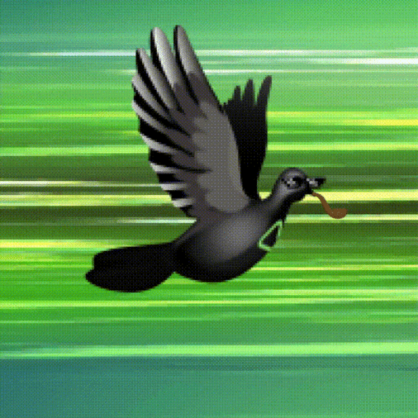Aurora Dove #7648