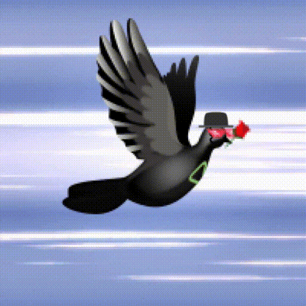 Aurora Dove #6724