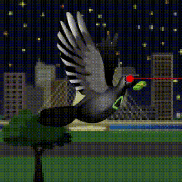 Aurora Dove #8824