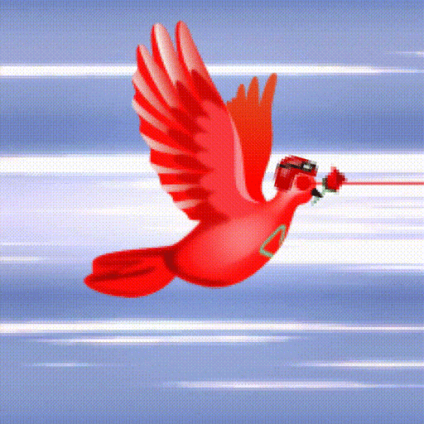 Aurora Dove #6613