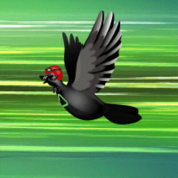 Aurora Dove #7136
