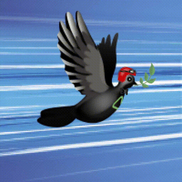 Aurora Dove #7253