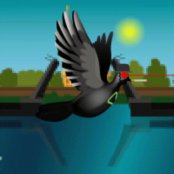 Aurora Dove #8865