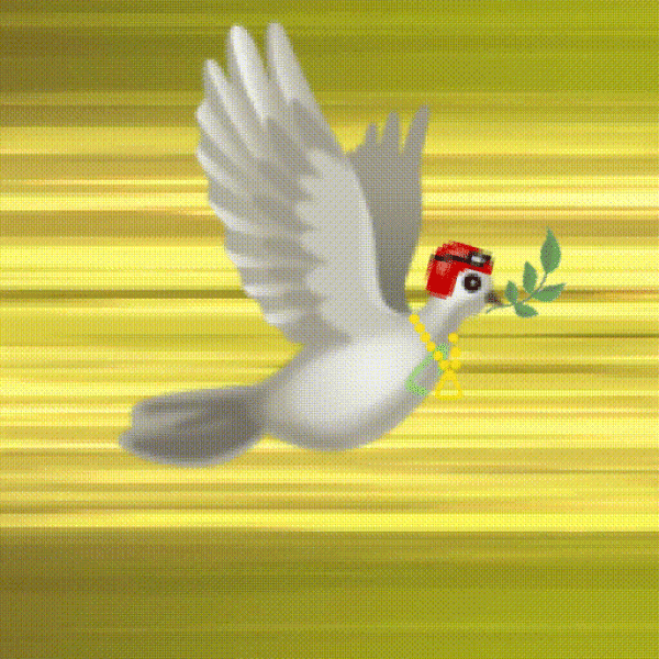 Aurora Dove #7096