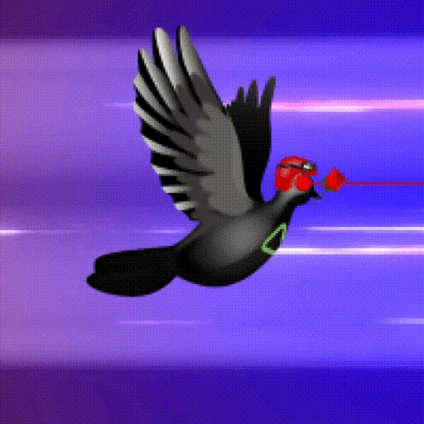 Aurora Dove #7947