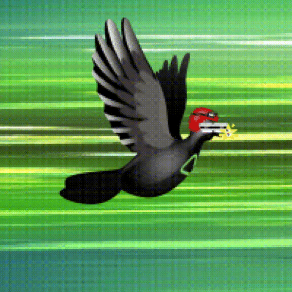 Aurora Dove #7618