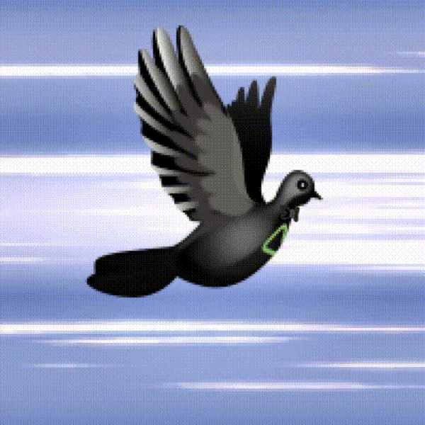 Aurora Dove #7831