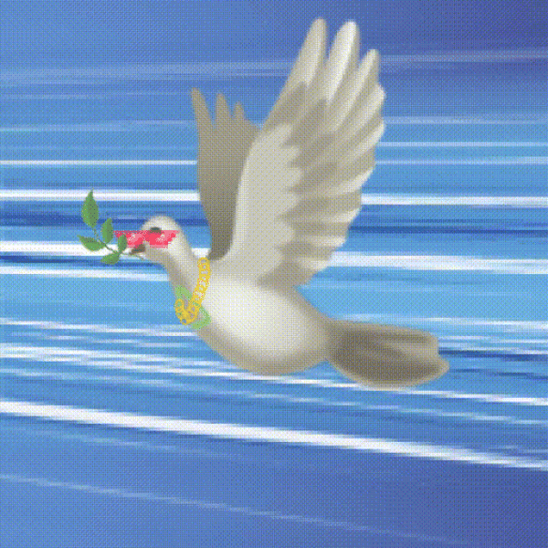 Aurora Dove #6896
