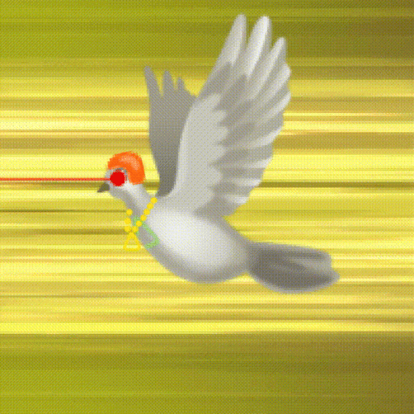 Aurora Dove #6566