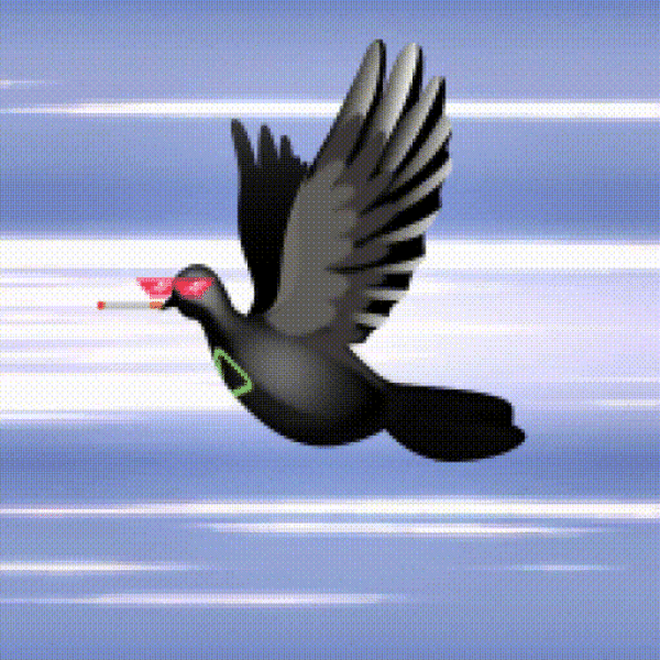 Aurora Dove #6369