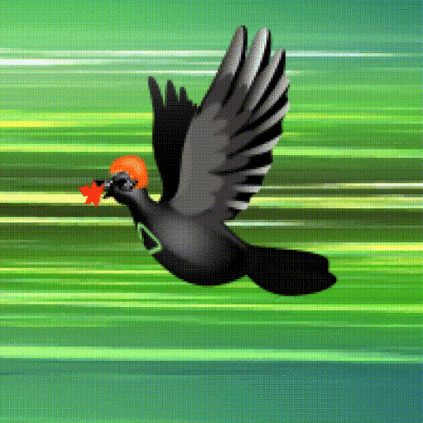 Aurora Dove #7244