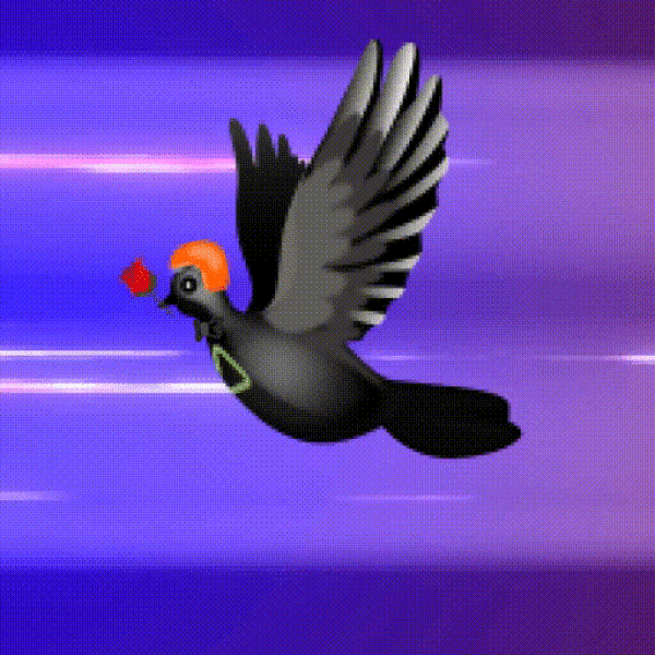 Aurora Dove #8143
