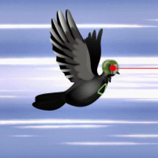 Aurora Dove #8010