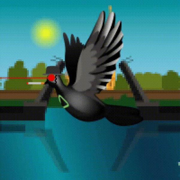 Aurora Dove #8890
