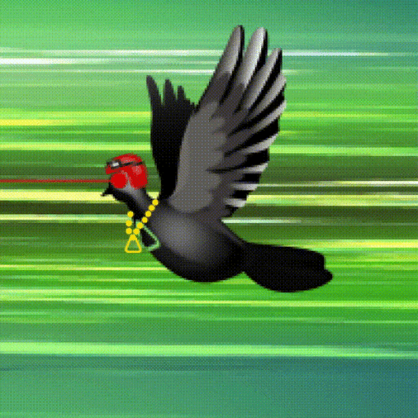Aurora Dove #7837