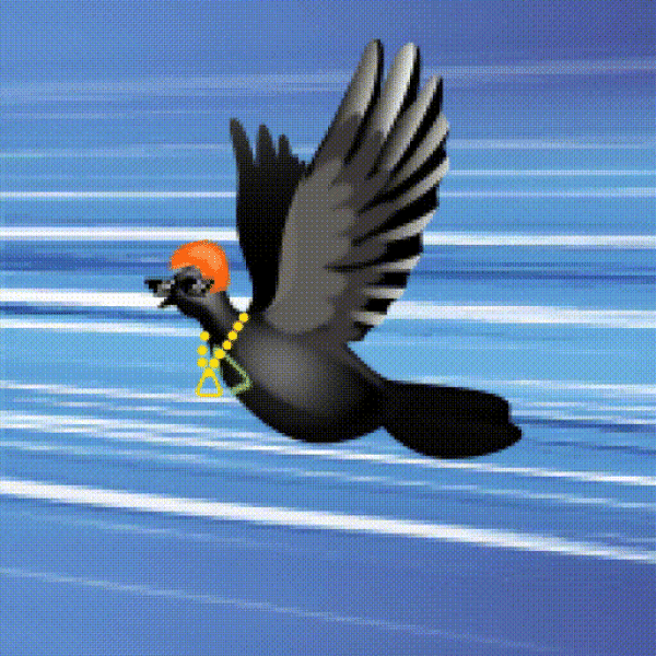 Aurora Dove #6512