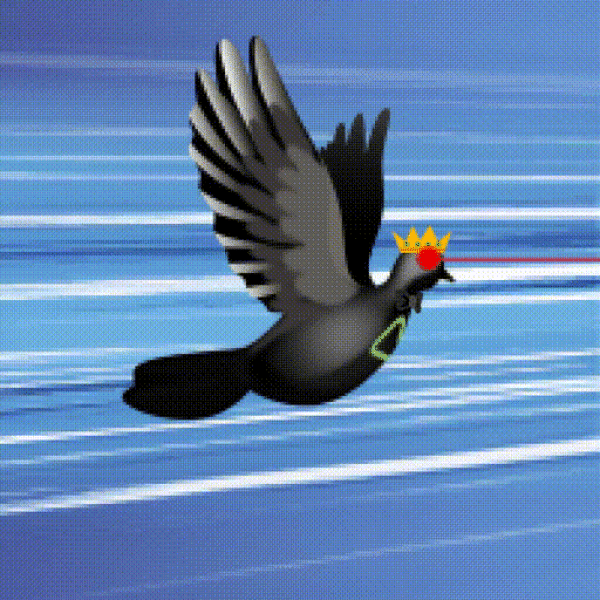 Aurora Dove #6619