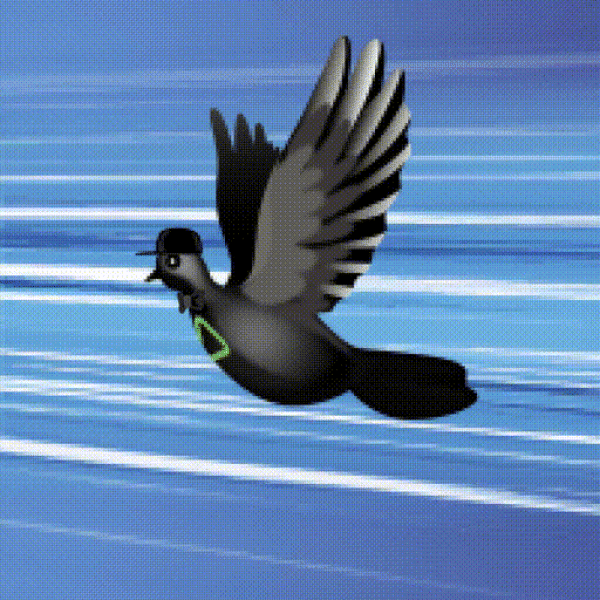 Aurora Dove #6611