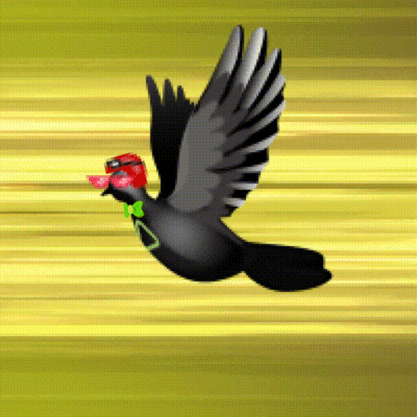 Aurora Dove #8080