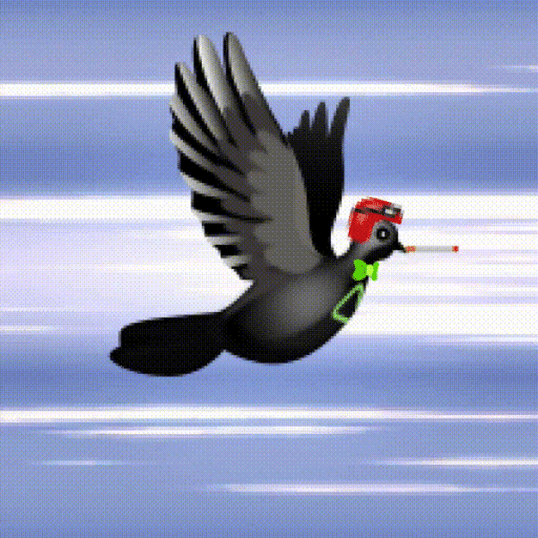 Aurora Dove #6560
