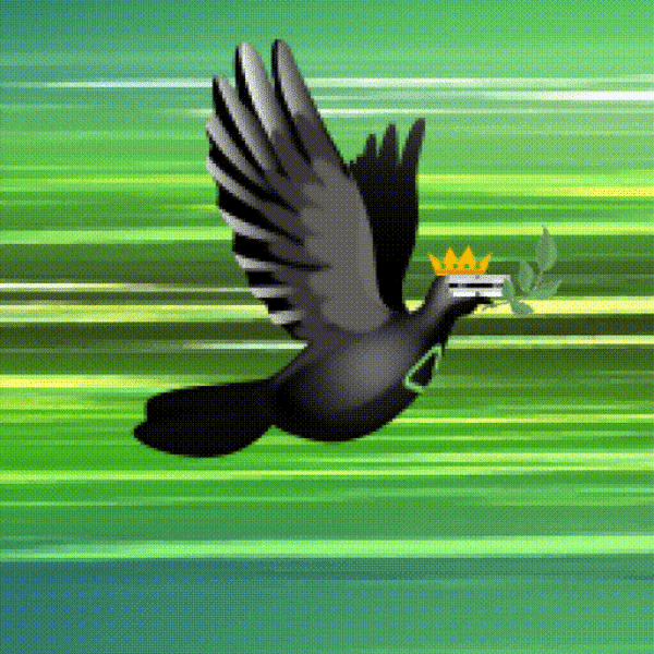 Aurora Dove #6448