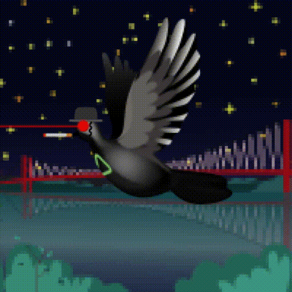 Aurora Dove #8884