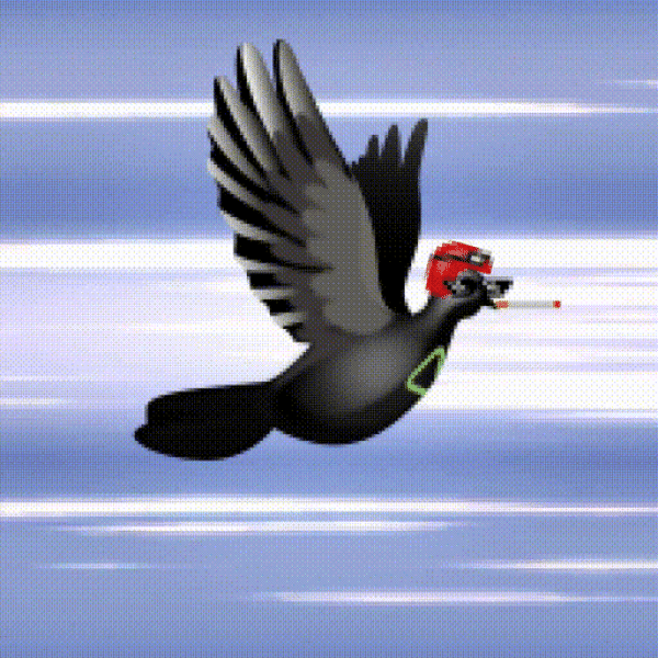 Aurora Dove #7950